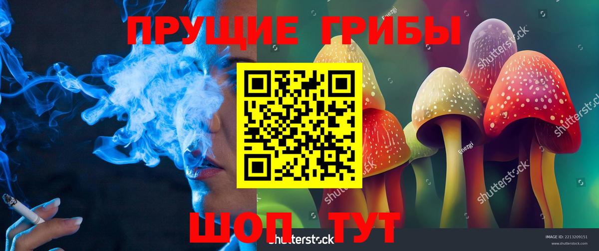 Псилоцибиновые грибы прущие грибы  Вход с VPN  закладка  Калуга 