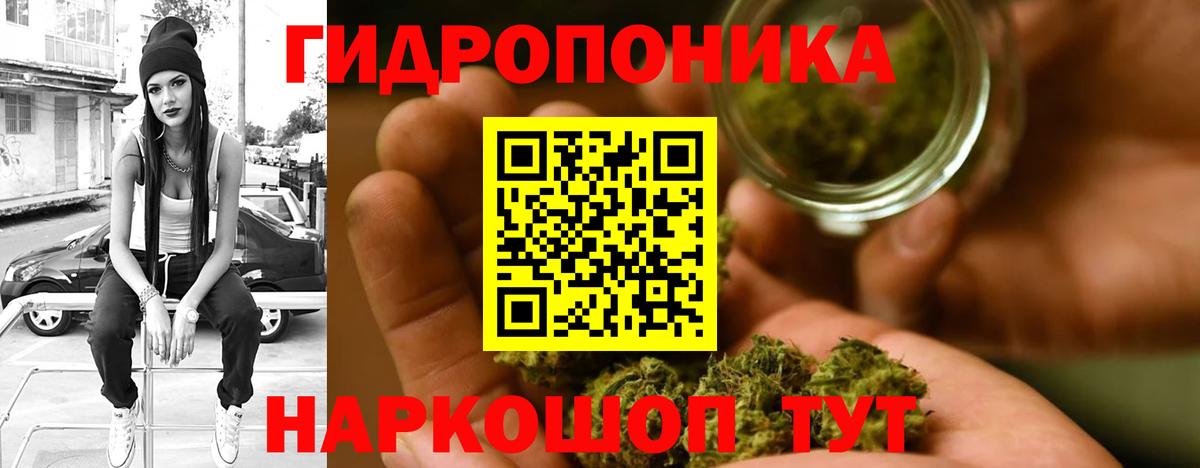 МАРИХУАНА планчик Калуга